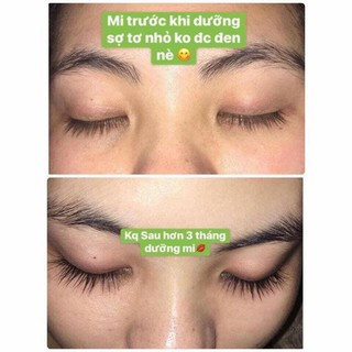 Tinh Chất Dưỡng Mi SIQUILL
