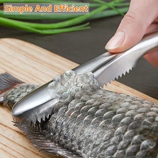 Dụng Cụ Đánh Vảy Cá Bằng Thép Không Gỉ