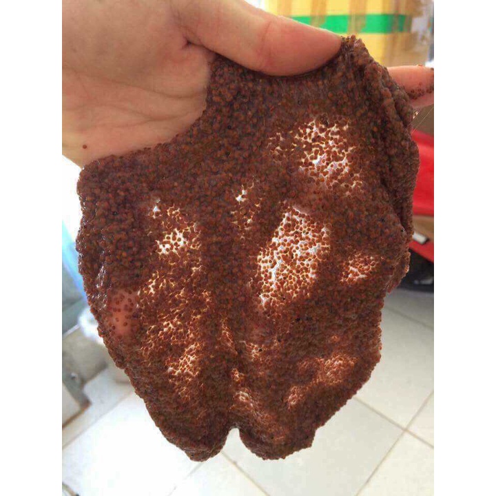 100g mặt nạ Hạt đình lịch, hạt ngũ hoa, ngũ hoa hạt  handmade