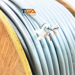 Dây tín hiệu Audio AV 2 âm thanh chính hãng Liton. Báo giá 1M