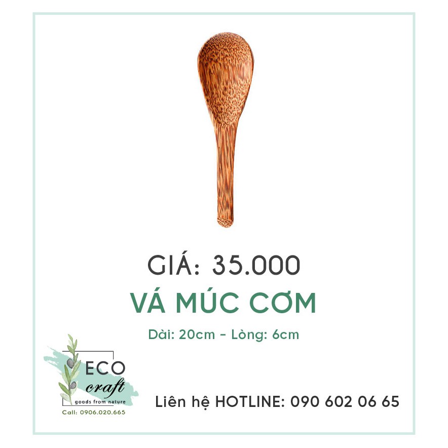 Vá múc cơm gỗ dừa ECO CRAFT
