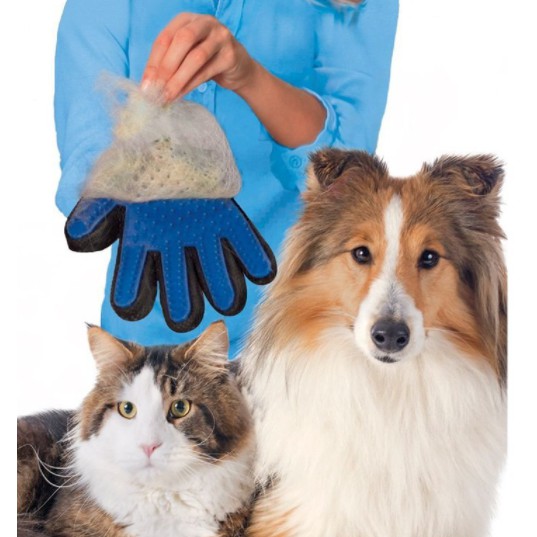 Găng tay trái, Găng tay massage, chải lông, lấy lông rụng cho chó mèo
