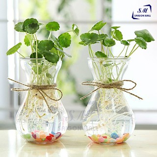 Bình bông lọ hoa thủy tinh miệng loe / Hũ , lọ thuỷ tinh 350ml