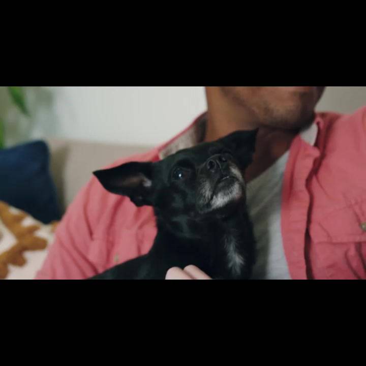 Máy Lọc Không Khí Levoit Core P350 40m2 Bộ lọc HEPA 13 Lọc Bụi Mịn | Hàng Chính Hãng | BigBuy360 - bigbuy360.vn