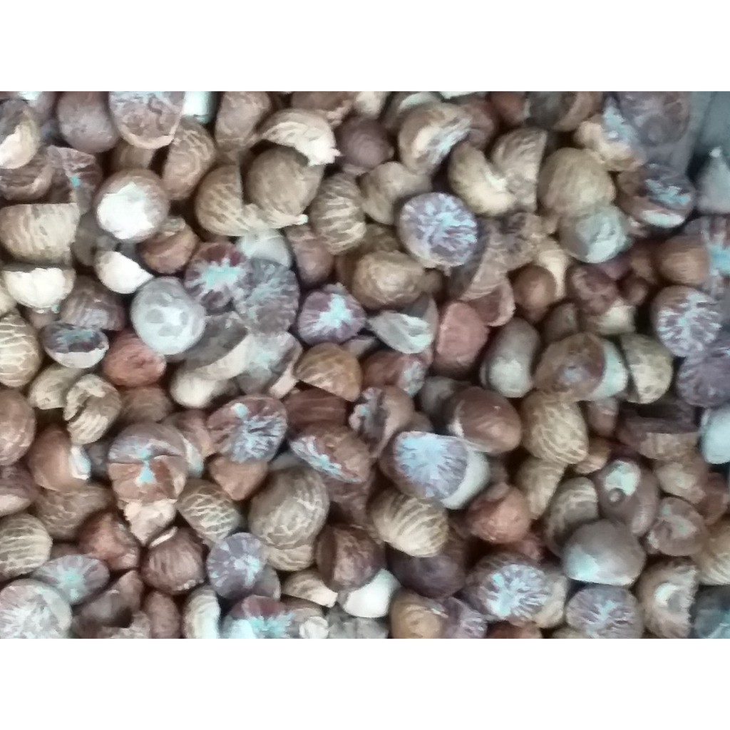 Hạt cau khô 100g (túi zip)