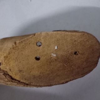 Gỗ vú sữa trồng lan