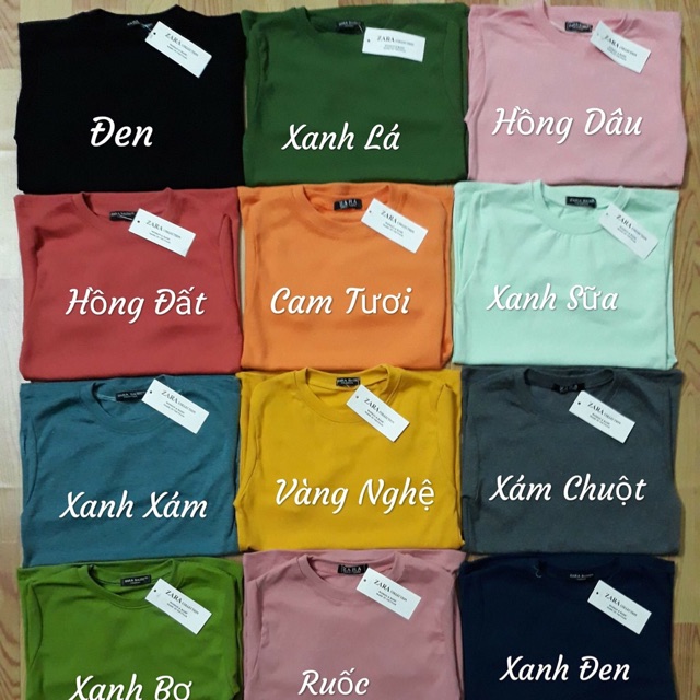 Áo thun trơn đồng giá 50k
