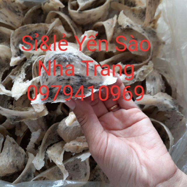 100gr Yến Thô ít lông VIP nguyên chất tặng Nhíp, táo đỏ, đường phèn, hạt chia - Yến Thô nguyên chất