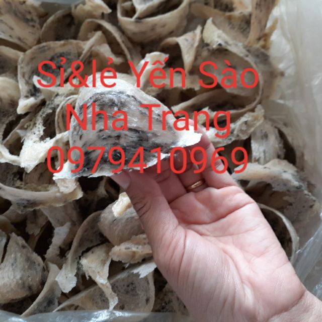 100gr Yến sào ít lông nguyên chất tặng Nhíp, táo đỏ, đường phèn, hạt chia - Yến thô nguyên chất