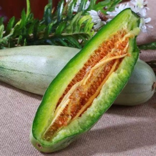 [ HG Mai Nguyễn] Hạt giống dưa chuối sám_ Ngọt thơm dễ trồng