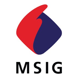 MSIG Vietnam_officialstore