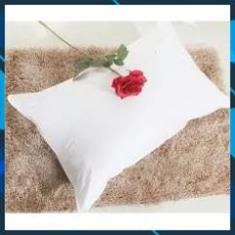 Đôi ruột gối chính hãng Hanvico Best Pillow cao cấp - Kích thước 45 x 65/50 x 70 cm