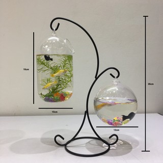 Bể cá mini để bàn treo mini X
