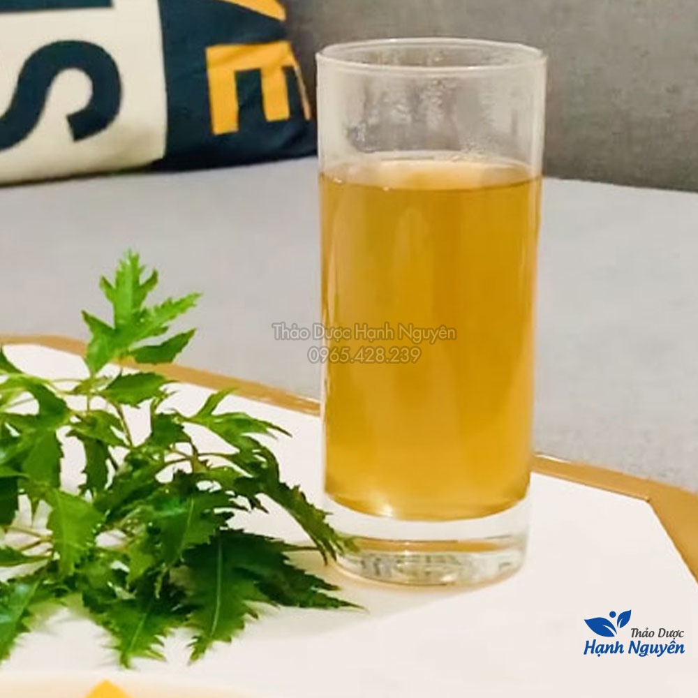 Lá đinh lăng khô 1kg (Trà đinh lăng thanh lọc cơ thể, hỗ trợ mất ngủ) - Thảo Dược Hạnh Nguyên