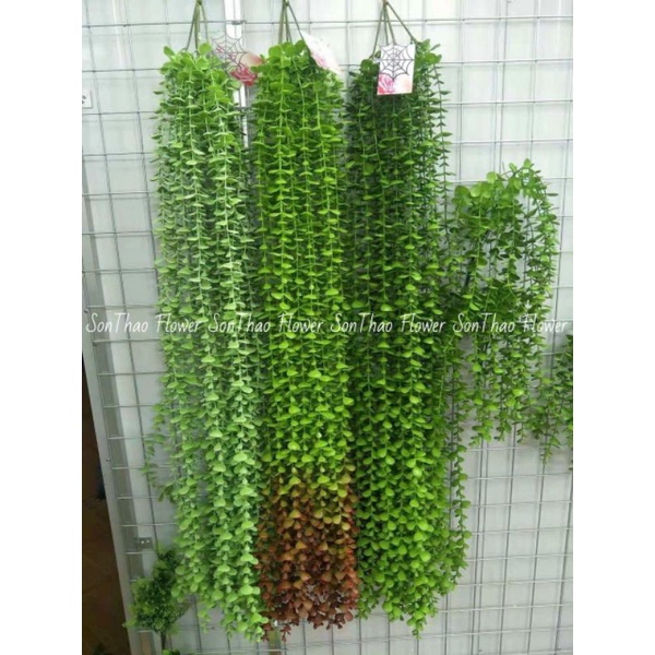 Cây giả dây leo giả trang trí dài 1m2 cúc tần ấn độ LÁ TO lá vảy ốc