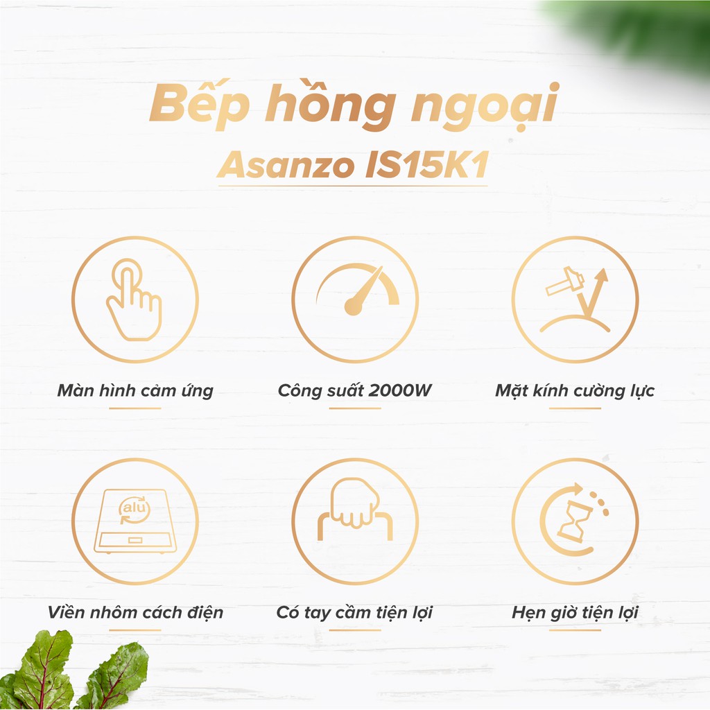 BẾP HỒNG NGOẠI ASANZO TS15K2