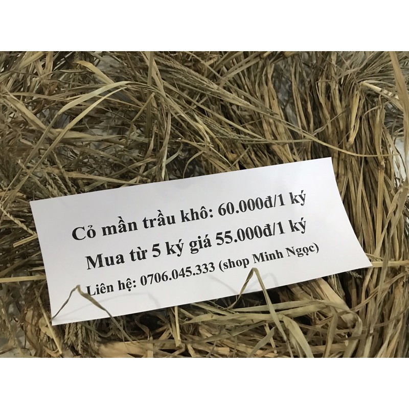 100 gam cỏ mần trầu phơi khô