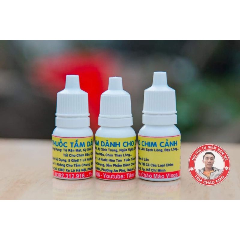 Nước tắm cho chim chào mào tâm chào mào