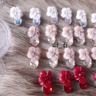 hoa bột - hoa đậu ôm đá khối lớn