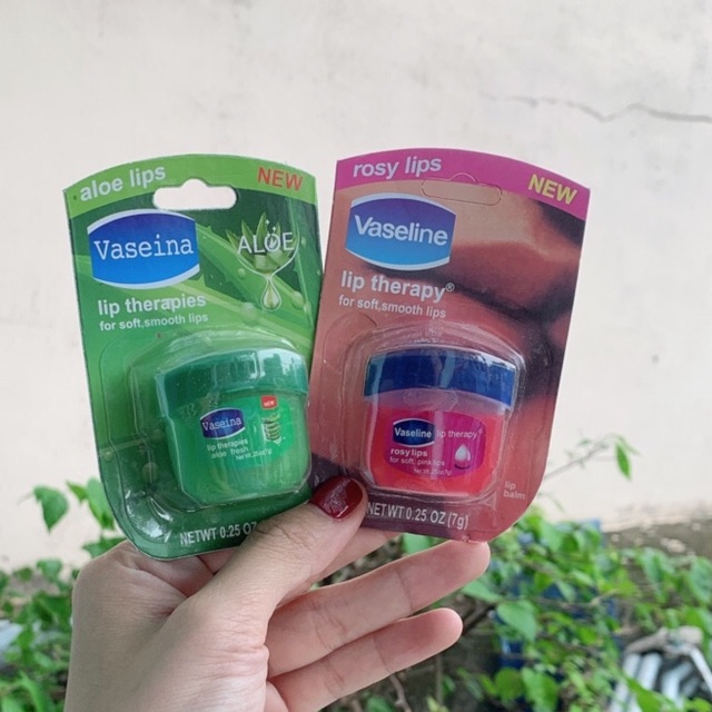 Combo hộp 24 son dưỡng mini 7g cho sỉ
