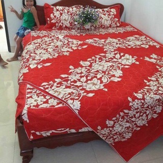 Bộ cotton poly trần phủ