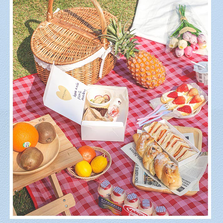 Thảm dã ngoại, thảm du lịch picnic cao cấp - Chống thấm nước, họa tiết caro, gấp gọn tiện lợi