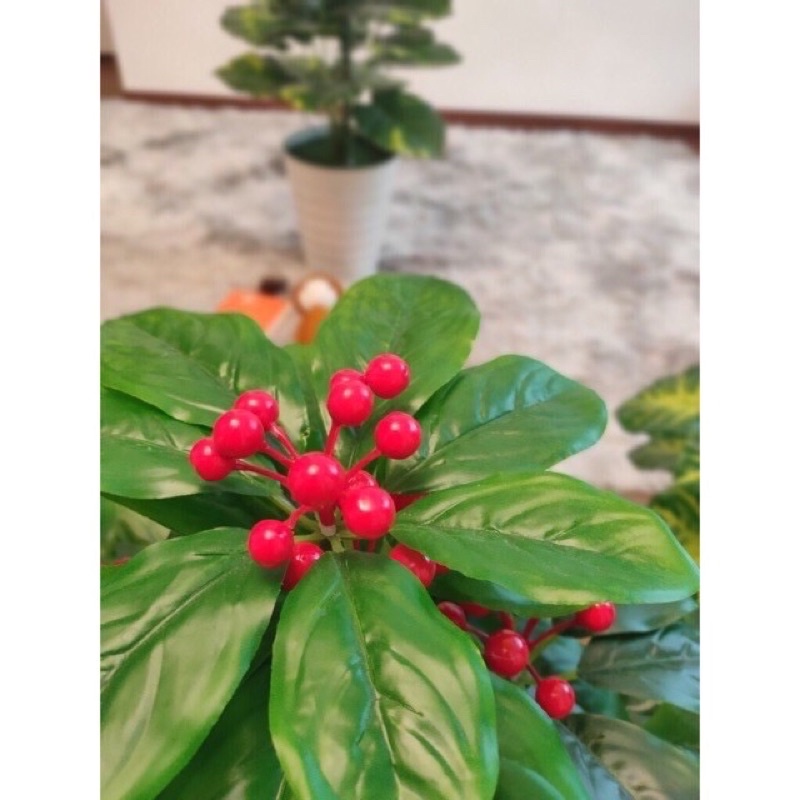 Cây giả _ cây sơri (cherry) đỏ 1,5m trang trí cực xinh