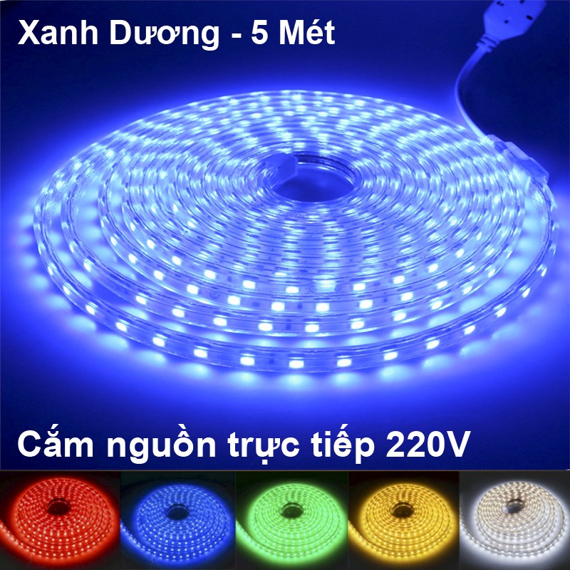 5 Mét LED dây 5050 Bọc nhựa Chống nước Tặng dây Nguồn, Cắm điện trực tiếp 220V - màu xanh dương