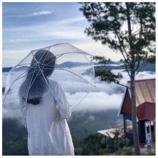 Dù che mưa trong suốt-010