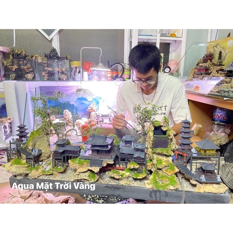 Bộ sưu tập hồ, bể bán cạn tiểu cảnh đa phong cách độc đáo by Kelsey Nguyen