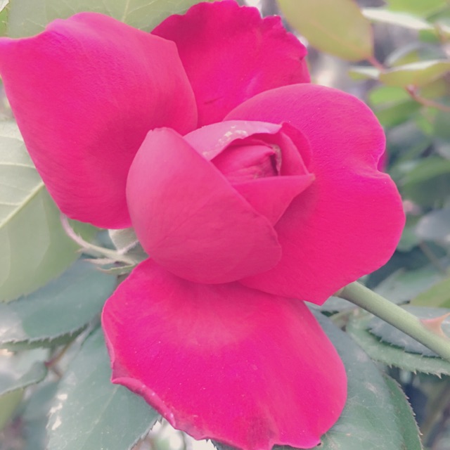 nainhoxinh, Cửa hàng trực tuyến | BigBuy360 - bigbuy360.vn