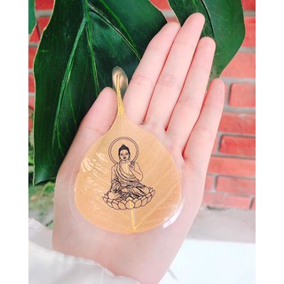 Lá Bồ Đề (lá thật ép khô)