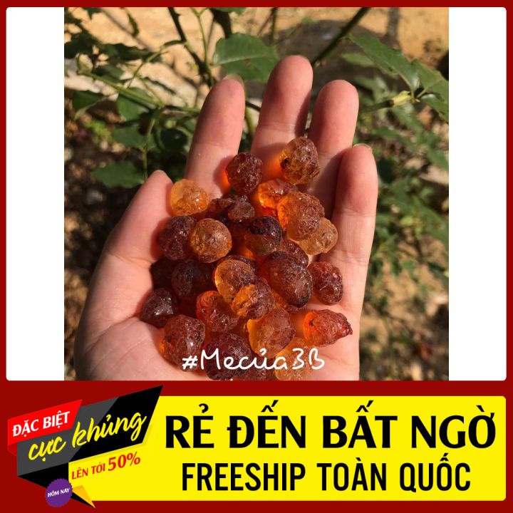 Nhựa đào QUÝ CHÂU ⚡THƯỢNG HẠNG⚡ loại 1 to, giòn, nở nhiều, TÚI 100g (tặng gói táo đỏ khi mua từ 200g)