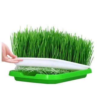 Bộ 2 khay nhựa chuyên dụng trồng rau mầm