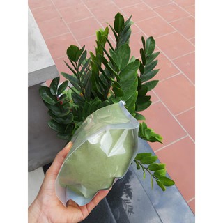 Combo 5kg bột lá găng làm thạch xanh