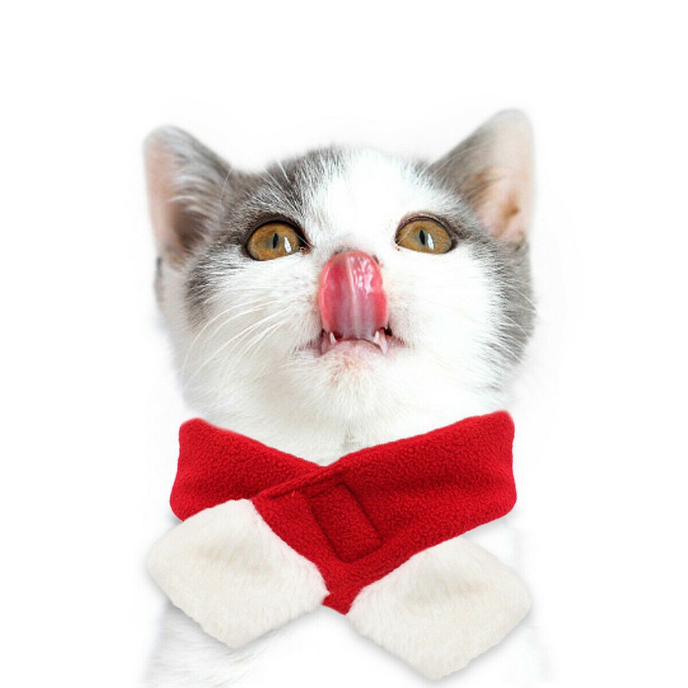 Bộ Đồ Hóa Trang Ông Già Noel Cho Thú Cưng