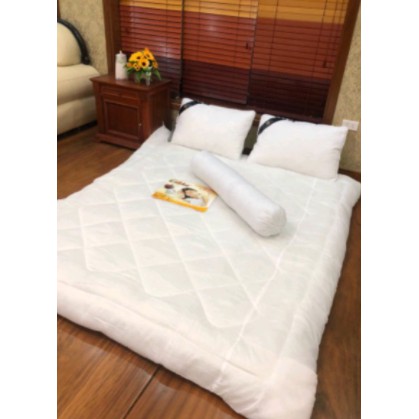 Ruột chăn bông Osaka 2mx2m2 hàng đông dày loại 1