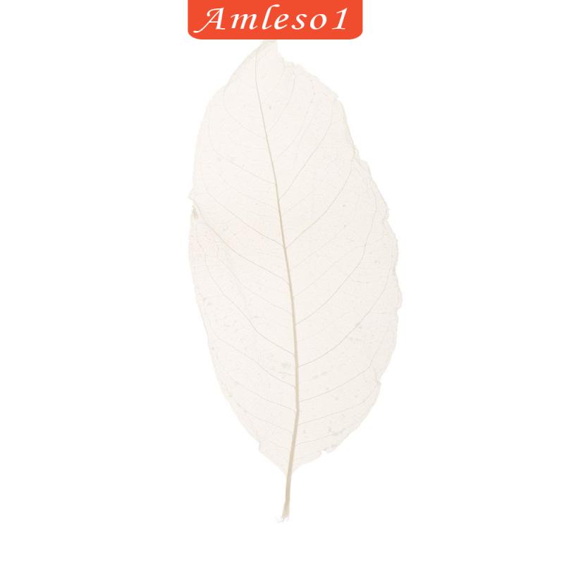 Set 50 Lá Mộc Lan Tự Nhiên Màu Trắng Amleso1 Dùng Trang Trí Sổ Tay