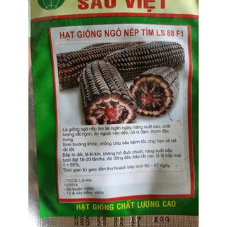Hạt giống bắp nếp tím Thái Lan gói 20 gam