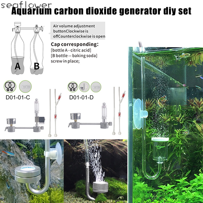 Hệ thống tạo khí CO2 cho bể cá thủy sinh