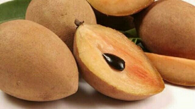 CÂY GIỐNG HỒNG XIÊM XOÀI CHO QUẢ QUANH NĂM QUẢ TO MỊN