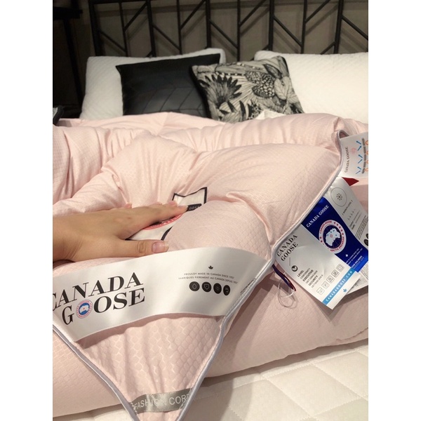 Ruột chăn lông vũ Canada Goose cao cấp