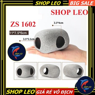Hang cá ali Z1602 - hang pleco - trang trí bể tép - thủy sinh - biotop - hồ cá cảnh - Shopleo