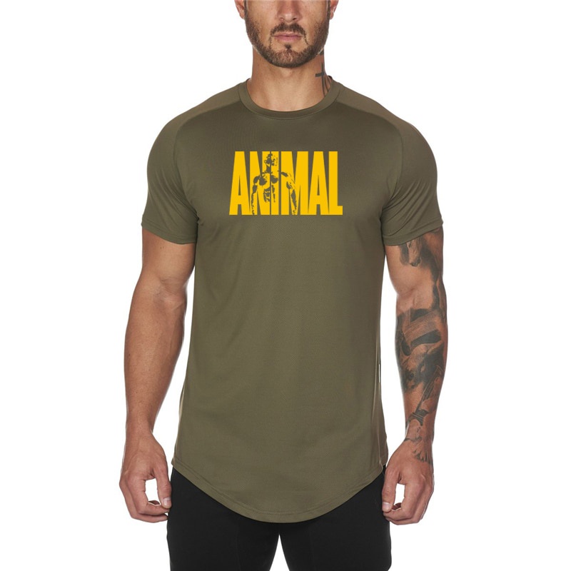 Áo thun thể thao tay ngắn thời trang cho nam