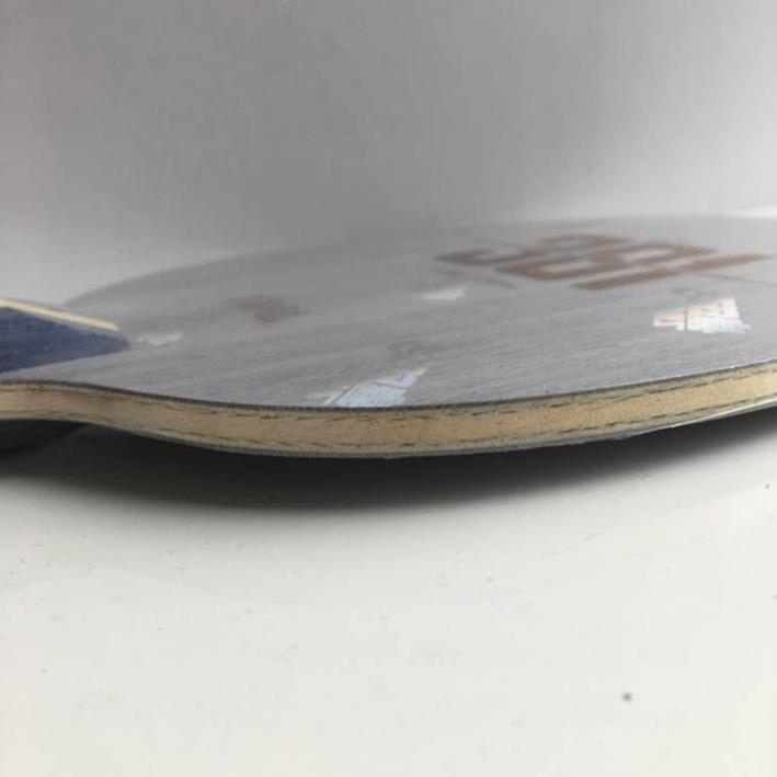 Cốt Vợt Bóng Bàn DHS 301