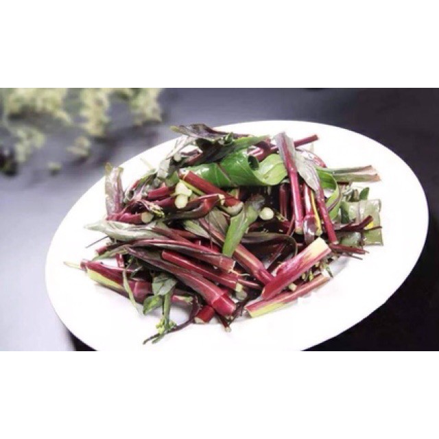 Hạt giống cài ngồng đỏ sanzi