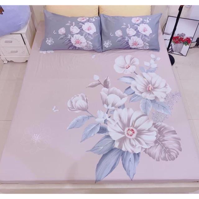 Bộ Ga Gối Cotton TiCi 3D Nhập Khẩu Cao Cấp Set Ga Gối Đủ Size Mềm Mại Không Xù