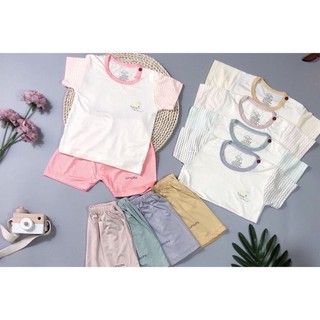 Bộ cộc tay Unchi mã trơn mới