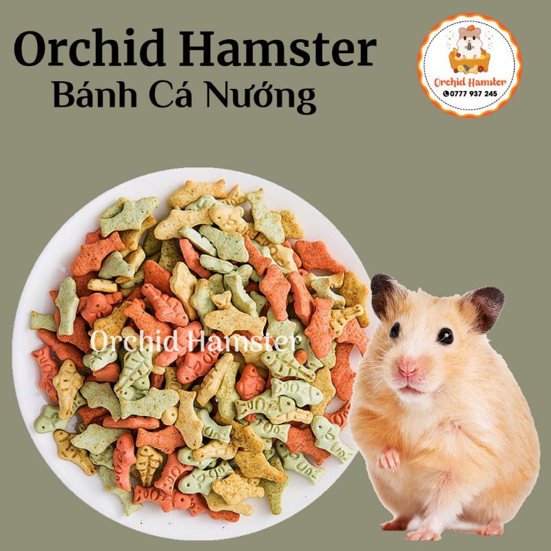 Bánh Mài Răng Vị Cá Cho Hamster