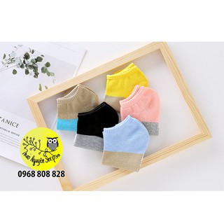 Combo 5 đôi tất nữ Muji